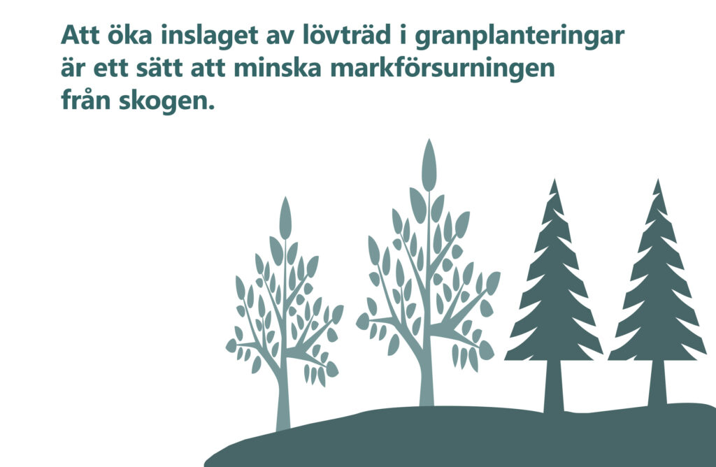 Bilden visar texten "Att öka inslaget av lövträd i granplanteringar är ett sätt att minska markförsurningen från skogen."