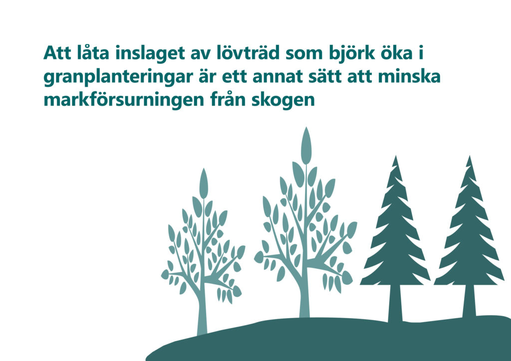 Text: Att låta inslaget av lövträd som björk öka i granplanteringar är ett annat sätt att minska markförsurningen från skogen. Illustration: stiliserade lövträd och granar. Illustration: stiliserade lövträd och barrträd.