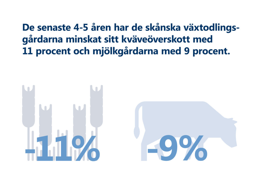 Bilden visar texten "De senaste 4-5 åren har de skånska växtodlingsgårdarna minskat sitt kväveöverskott med 11 procent och mjölkgårdarna med 9 procent." Illustration: Sädesax med texten -11%; Nötdjur med texten -9%.