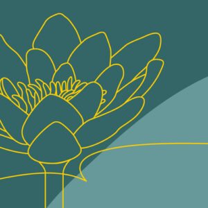 Illustration av miljömålet Levande sjöar och vattendrag. En stiliserad blomma mot bakgrund. Illustration av Tobias Flygar.
