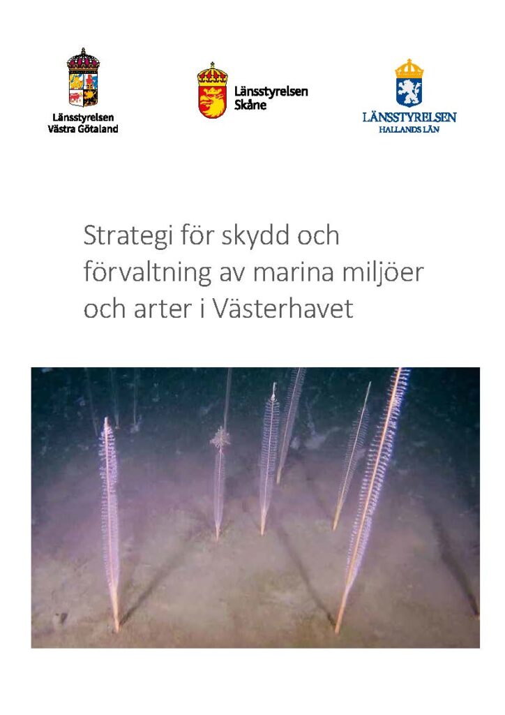 Framsida av rapporten Strategi för skydd och förvaltning av marina miljöer och arter i Västerhavet. Klicka på bilden för att komma till rapporten.