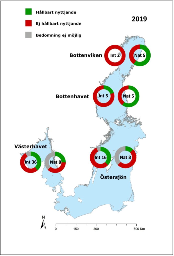 Kartan visar andelen hållbart respektive icke hållbart nyttjade bestånd i svenska havsområden år 2019