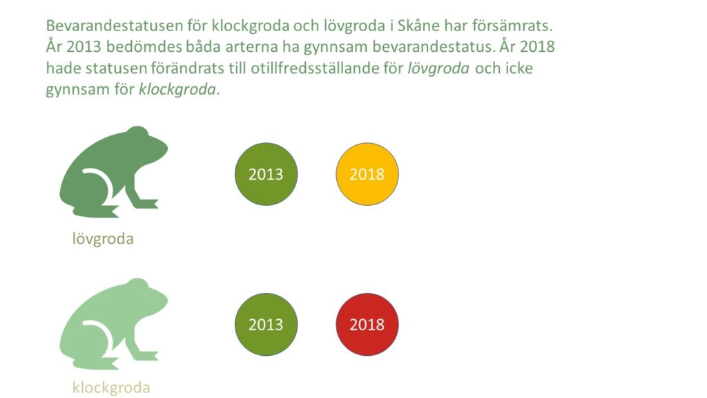 Bilden visar texten "Bevarandestatusen för klockgroda och lövgroda i Skåne har försämrats. År 2013 bedömdes båda arterna ha gynnsam bevarandestatus. År 2018 hade statusen förändrats till otillfredsställande för lövgroda och icke gynnsam för klockgroda."