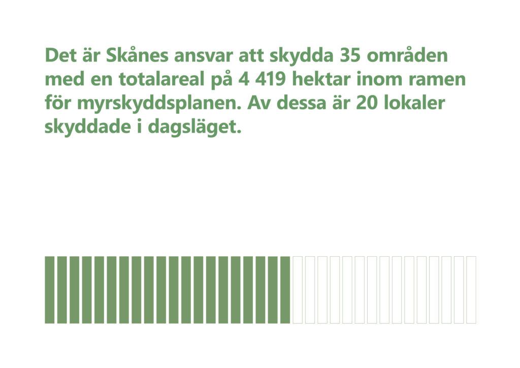 Bilden visar texten "Det är Skånes ansvar att skydda 35 områden med en totalareal på 4419 hektar inom ramen för myrskyddsplanen. Av dessa är 20 lokaler skyddade i dagsläget."