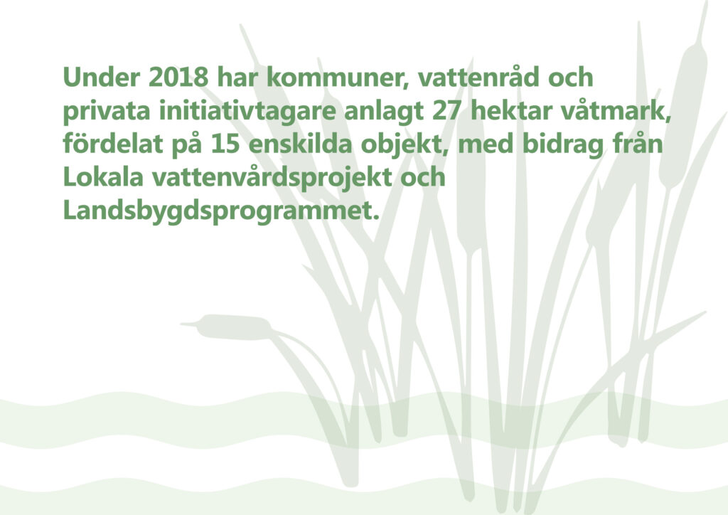 Under 2018 har kommuner, vattenråd och privata initiativtagare anlagt 27 hektar våtmark, fördelat på 15 enskilda objekt, med bidrag från Lokala vattenvårdsprojekt (LOVA) och Landsbygdsprogrammet. Illustration: kaveldun som sticker upp ur stiliserat vatten.