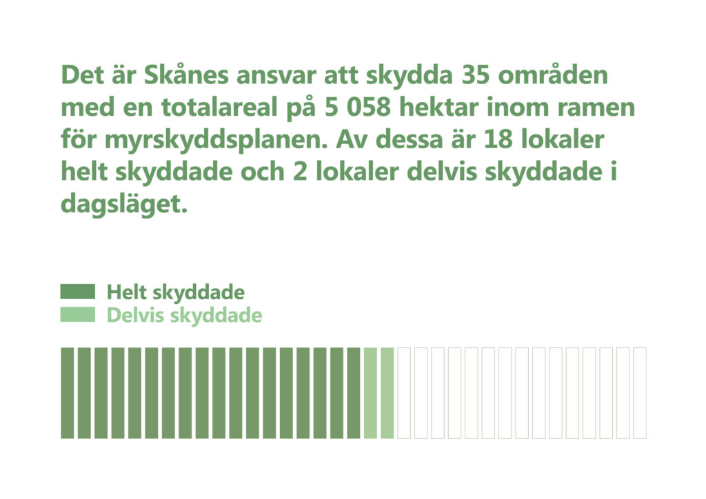 Text: Det är Skånes ansvar att skydda 35 områden med en totalareal på 5058 hektar inom ramenför myrdskyddsplanen. Av dessa är 19 lokaler helt skyddade och 2 lokaler delvis skyddade i dagsläget. Illustration: 35 jämnhöga staplar. Av dessa är 19 fyllda med mörkgrönt (=Helt skyddade) och 2 fyllda med ljusgrönt (=Delvis skyddade).