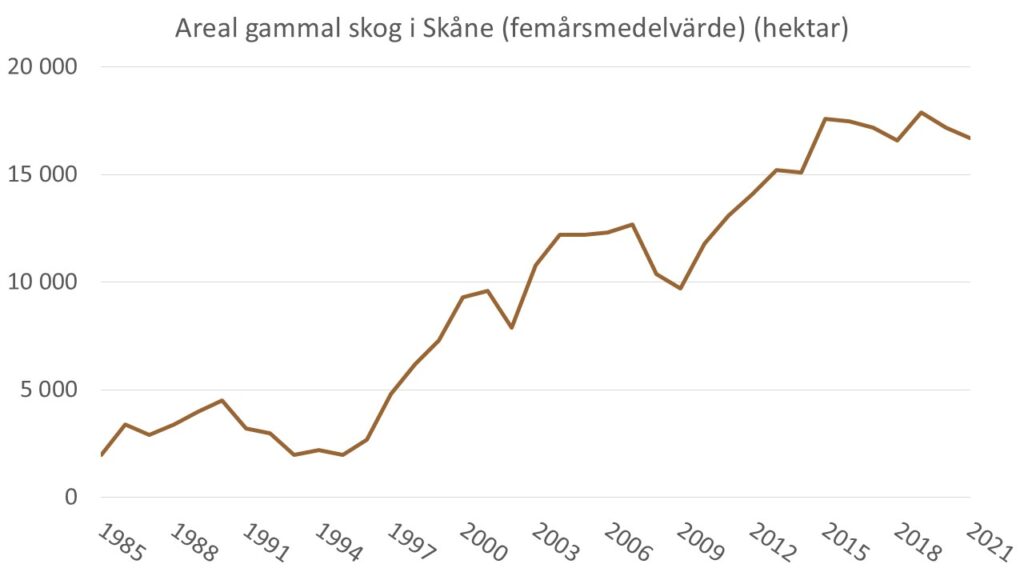 Diagram som visar areal gammal skog i Skåne på produktiv skogsmark utanför nationalparker, naturreservat och naturvårdsområden under åren 1985 till 2021.