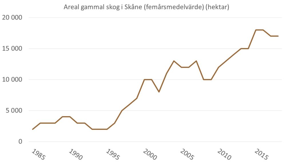 Diagrammet visar areal gammal skog i Skåne på produktiv skogsmark utanför nationalparker, naturreservat och naturvårdsområden enligt 2019 års gränser som glidande 5-års medel,