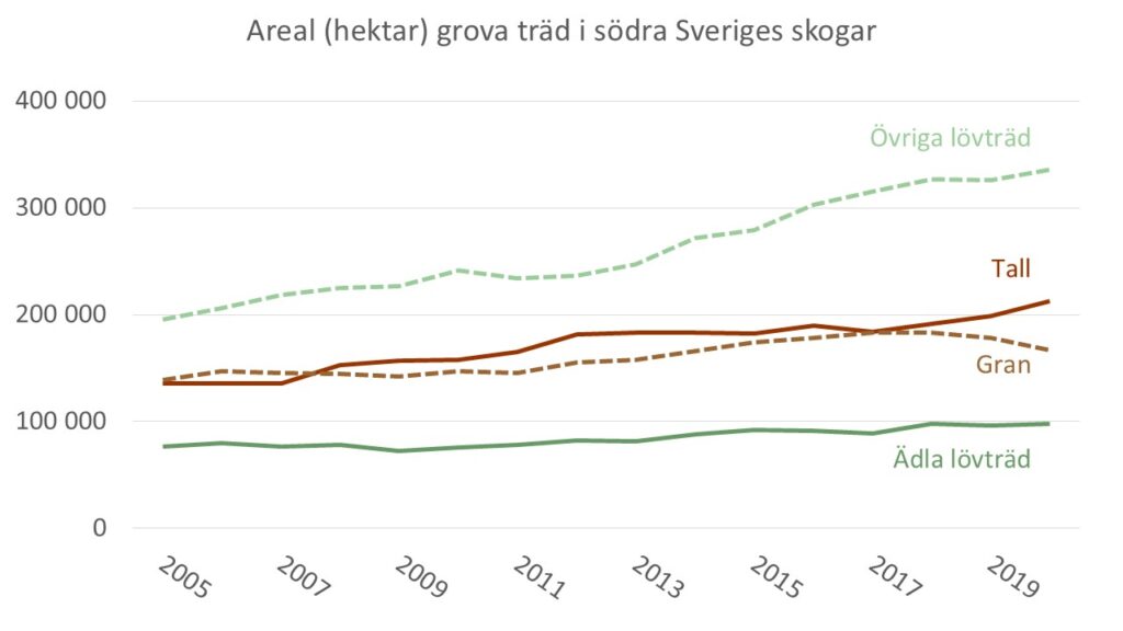 Diagram som visar arealen skogsmark med grova träd under åren 2005-2020.
