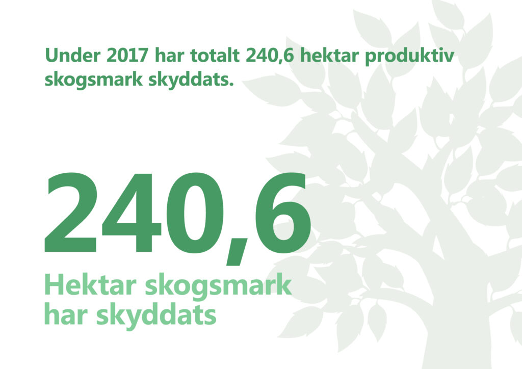 2017 har totalt 240,6 hektar produktiv skogsmark skyddats. Illustration: Ett stiliserat lövträd.