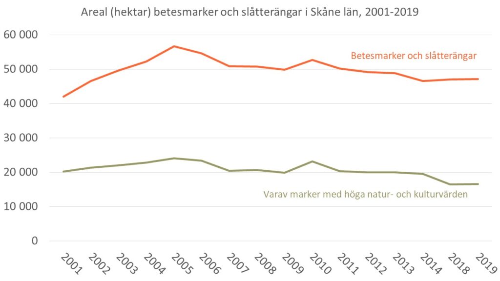 Diagram som visar förändringen av arealen betesmarker och slåtterängar i Skåne under perioden 2001-2019 samt utvecklingen av marker med höga natur- och kulturvärden under samma period.