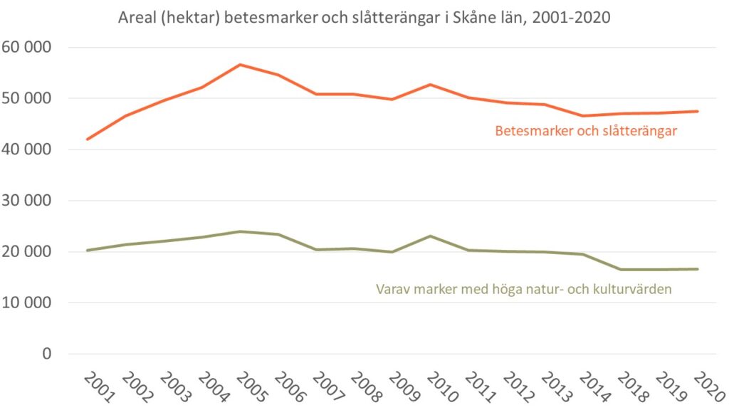 Diagram som visar förändringen av arealen betesmarker och slåtterängar i Skåne under perioden 2001-2020 samt utvecklingen av marker med höga natur- och kulturvärden under samma period.