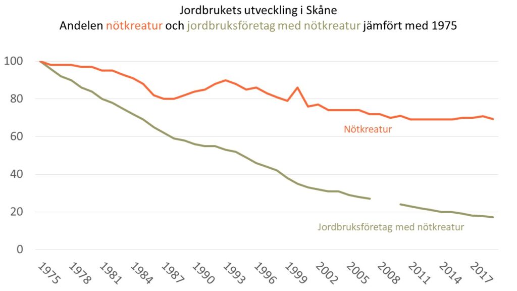 Diagram över utvecklingen av antalet jordbruksföretag med nötkreatur respektive antalet nötkreatur i Skåne under perioden 1975-2019.