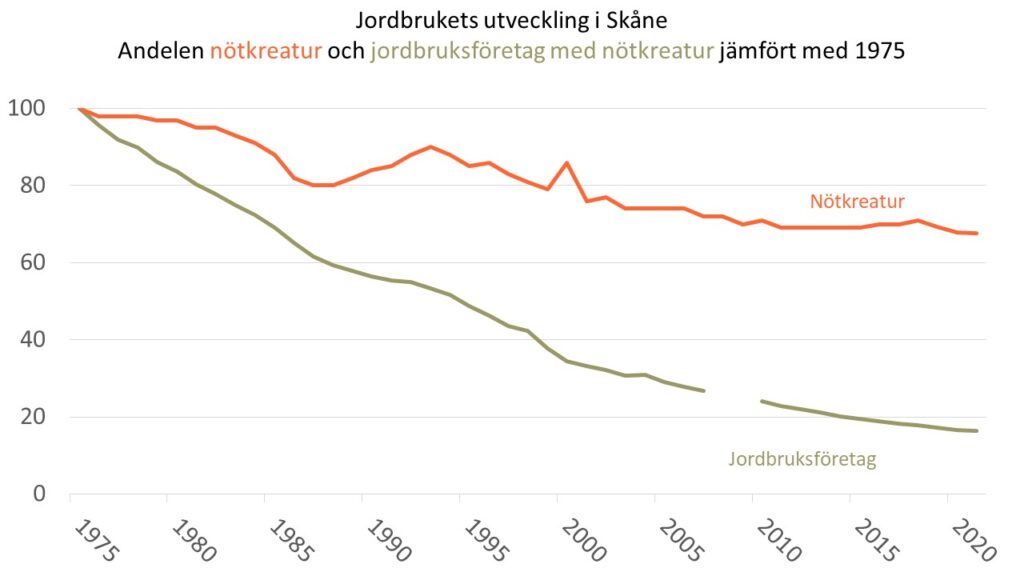 Diagram över utvecklingen av antalet jordbruksföretag med nötkreatur respektive antalet nötkreatur i Skåne under perioden 1975-2021.