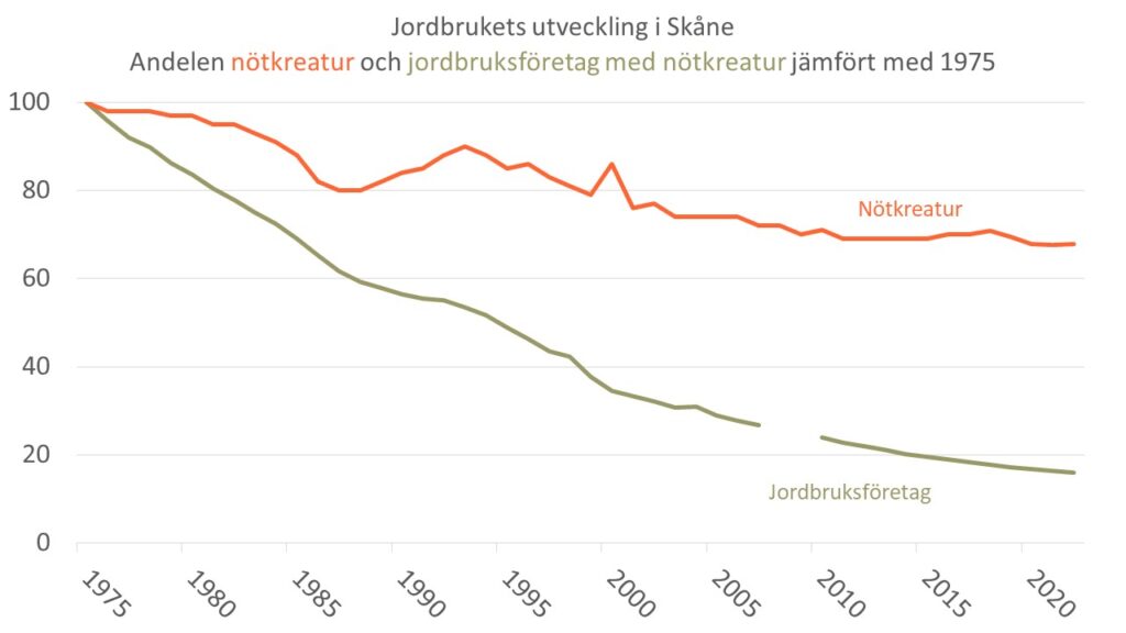 Diagram över utvecklingen av antalet jordbruksföretag med nötkreatur respektive antalet nötkreatur i Skåne under perioden 1975-2022.