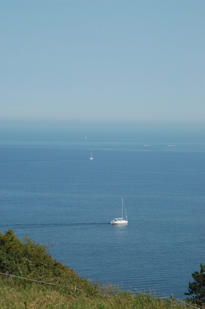 Segelbåtar på blått hav, som vid horisonten övergår i himmel. Grönska på land i förgrunden.