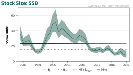 Diagrammet visar biomassan (samlad vikt) av lekmogen torsk från Östersjöns västra torskbestånd mellan åren 1996 och 2021.