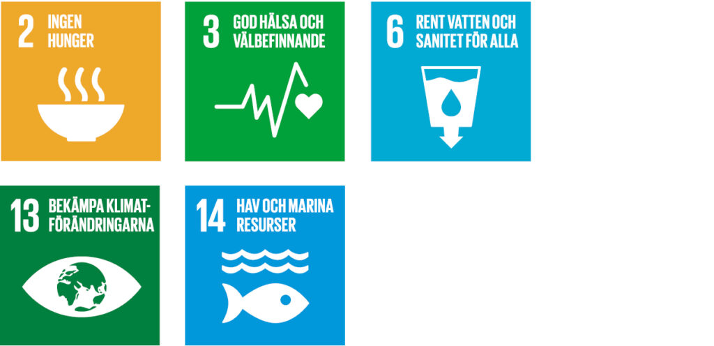 Logotyper för de globala mål som rör Hållbar livsmedelsförsörjning