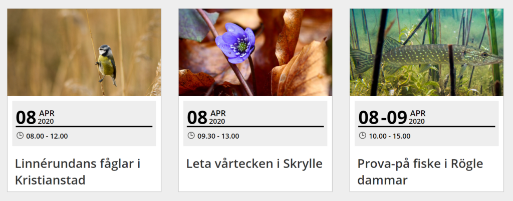 Skärmklipp av och länk till kalender för naturguidningar. Fotona visar en fågel, en blomma och en fisk. Texten visar datum, tider och kort info om arrangemangen.