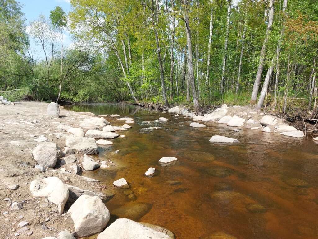 Naturlik sjötröskel: stenar sticker upp ur vattendrag. Träd med gröna blad i bakgrunden.