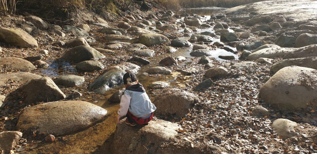Naturlik sjötröskel: stenar sticker upp ur vattendrag. Ett barn sitter på en av stenarna.