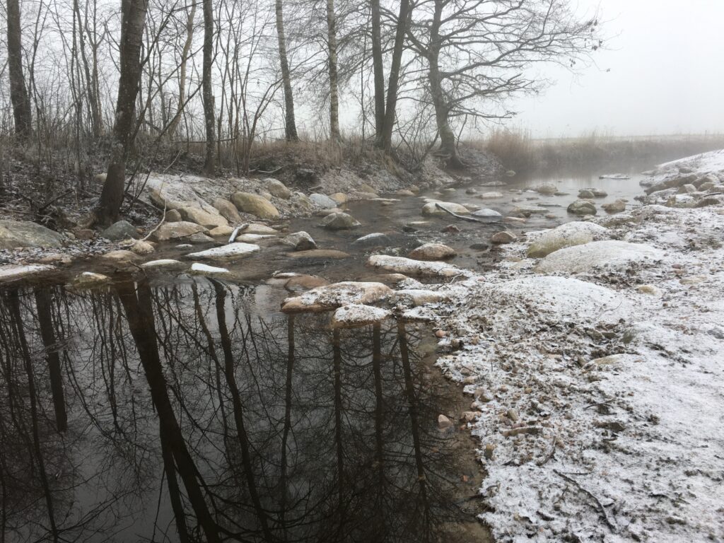 Naturlik sjötröskel. Stenar sticker upp ur vattendrag.