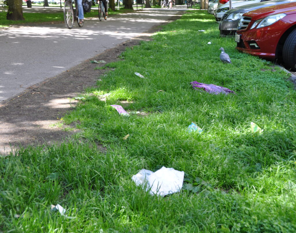 Plastskräp på en gräsremsa mellan parkeringsplats och cykelväg.