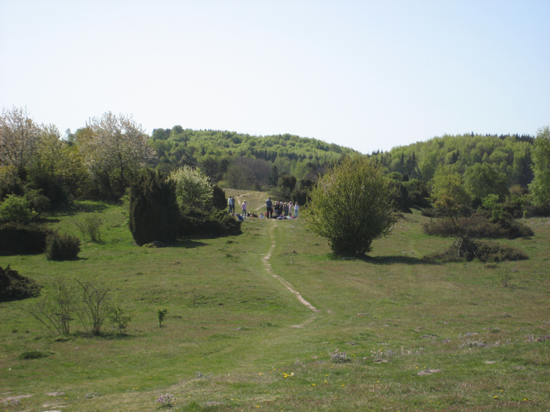 En skolklass på en öppen gräsmark med en stig. En del buskar. Längre bort skog.