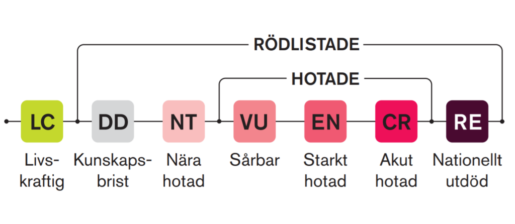 Illustration av rödlistningskategorierna och deras förkortningar. RE= Nationellt utdöd. CR=Akut hotad. EN=Starkt hotad. VU=Sårbar. NT=Nära hotad. DD=Kunskapsbrist. LC=Livskraftig. CR, EN och VU kallas tillsammans Hotade. RE, CR, EN, VU, NT och DD kallas tillsammans Rödlistade.