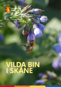 Rapportframsida. Bi i blå blomma.