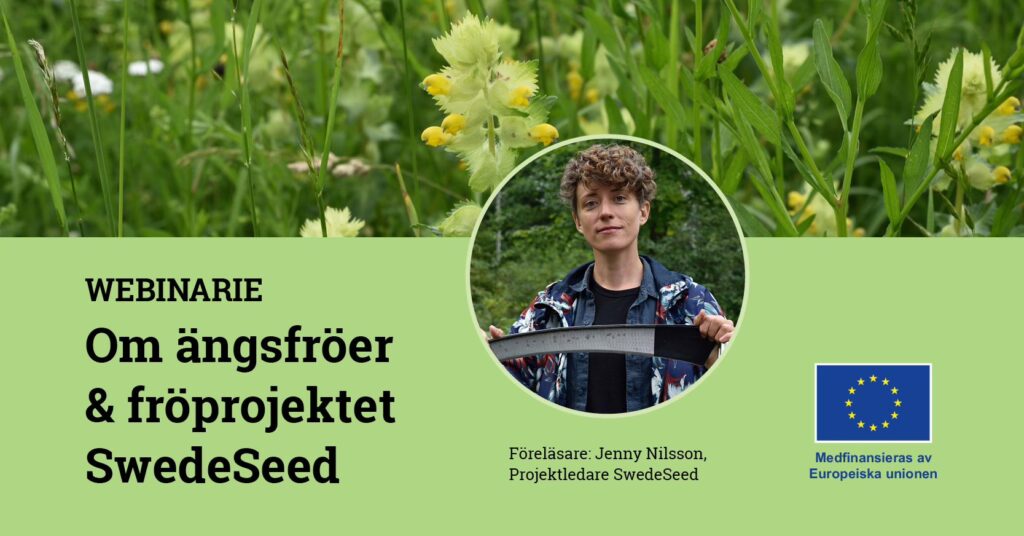 Header från facebookeventet för webbinarium om ängsfröer