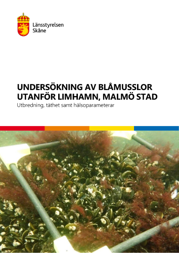 Rapportframsida Undersökning av blåmusslor utanför Limhamn