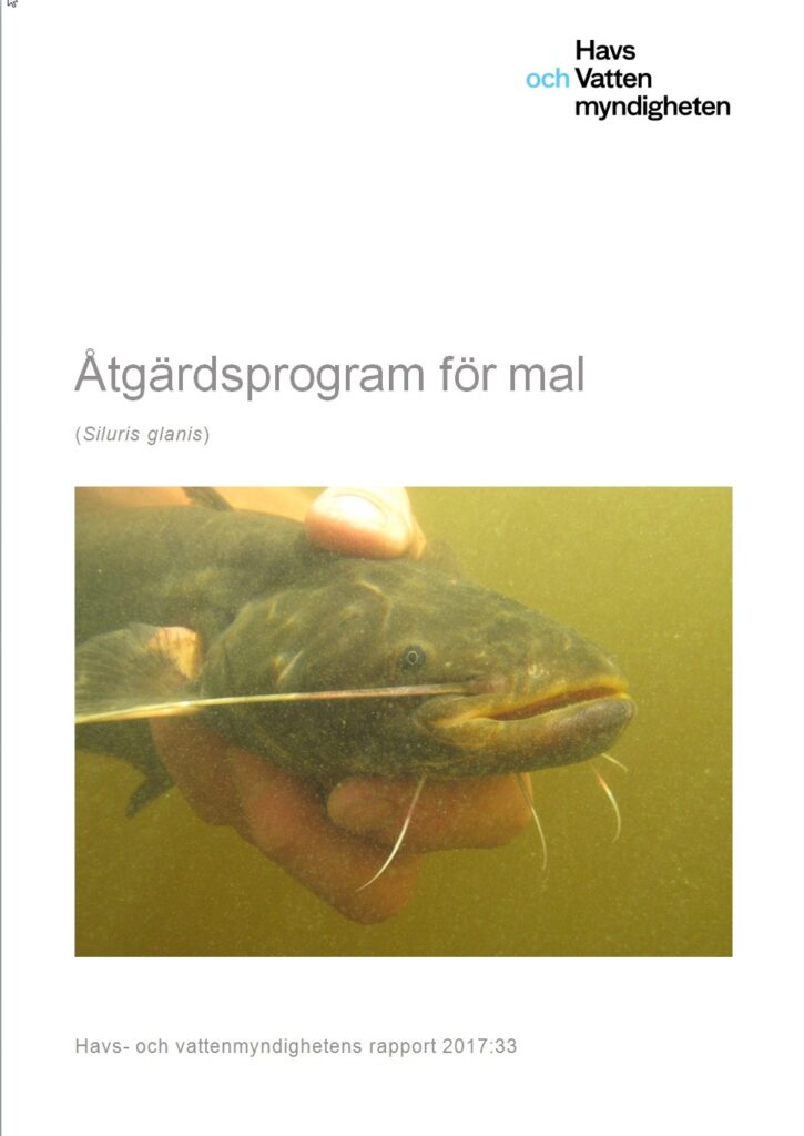 Framsida för åtgärdsprogram för mal.