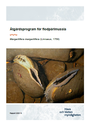 Framsida åtgärdsprogram för flodpärlmussla