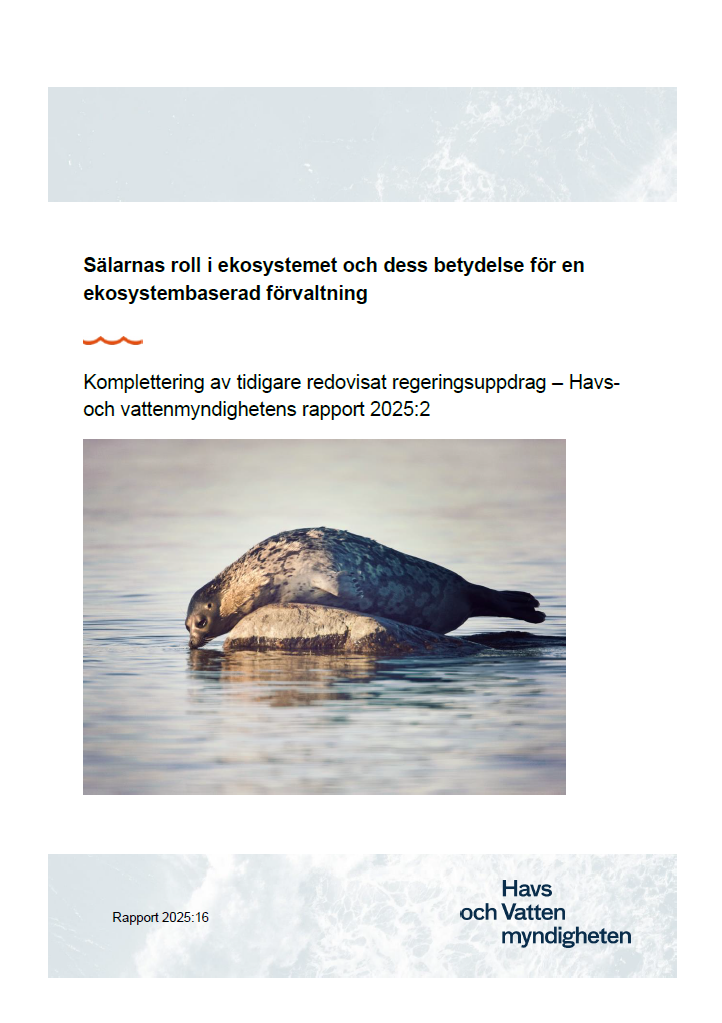 Framsida rapport om sälens roll i ekosystemet