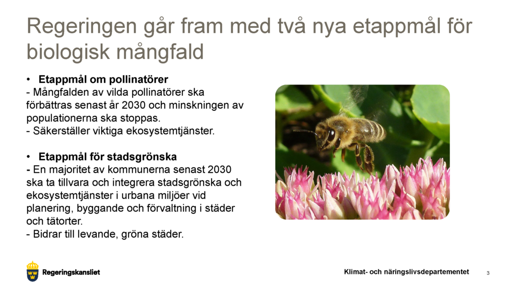 En bild ur en powerpoint från regeringen. Bilden innehåller information om de nya etappmålen.